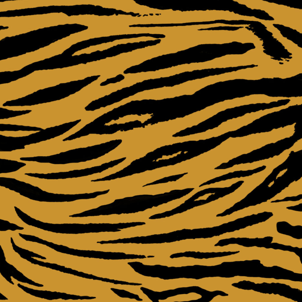 Pattern Tiger