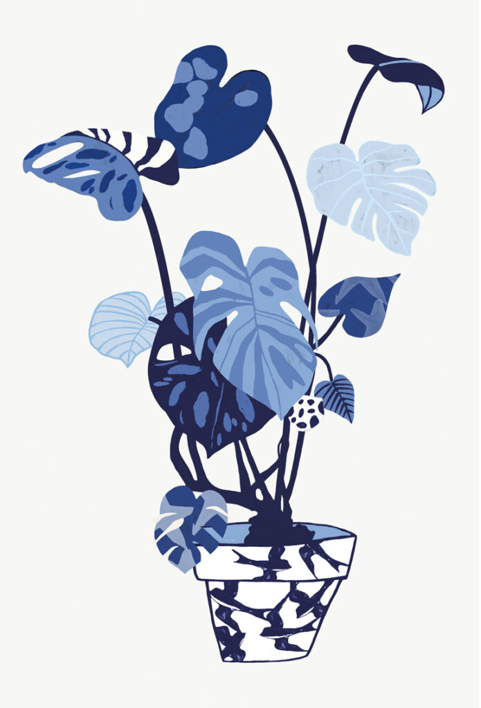 Illustration Houseplant